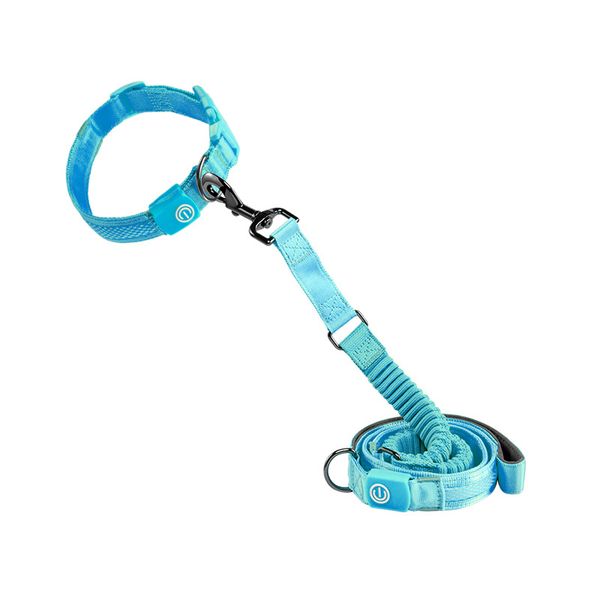 

nylon led light up pet collar luminous fluorescent dog lead night safety flashing glow in dark multi-color dog collars leashes