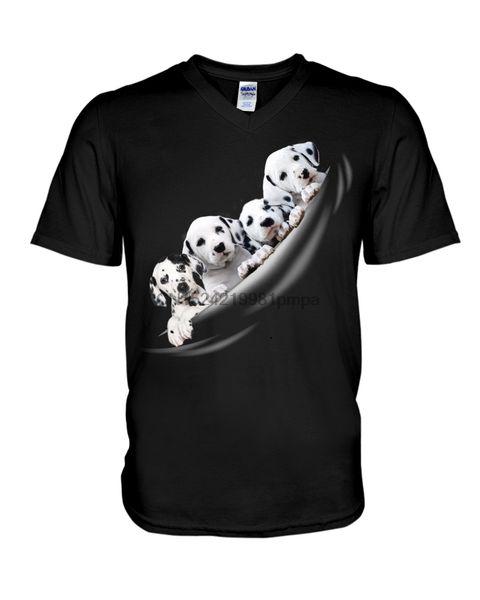 

men t shirt dalmatian - torn 4(5) women tshirts