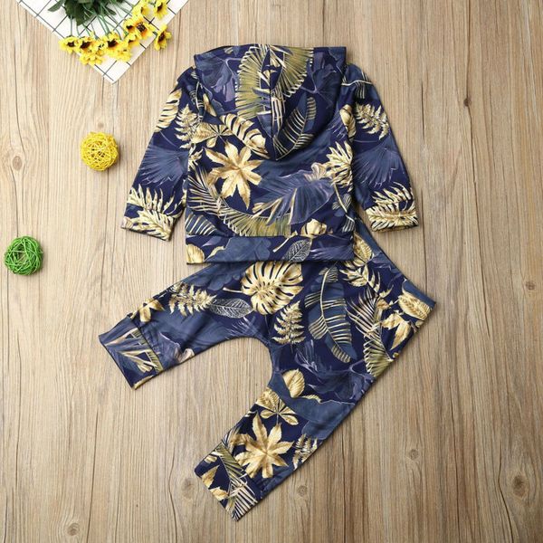 

2020 new fashion baby autumn clothing kid baby girls long sleeve flower hooded sweatshirt pants leaves outfit clothes, White