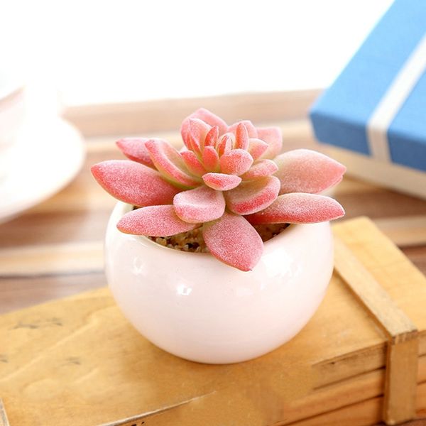 

lovely flower pots succulents flower pots indoor mini pot plants office decoration garden