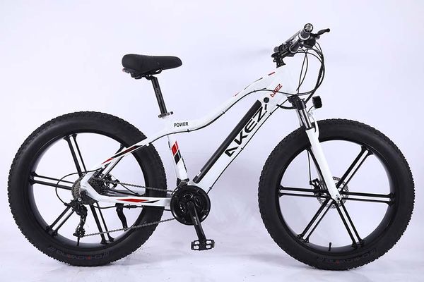 

26 inch one wheel 4.0 inch wide wheel aluminum alloy hidden lithium battery snowmobile center mounted square display 36v350w variable speed