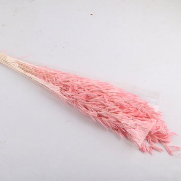 

50 pcs eco friendly natural non toxic dried flower pgraphy prop party diy