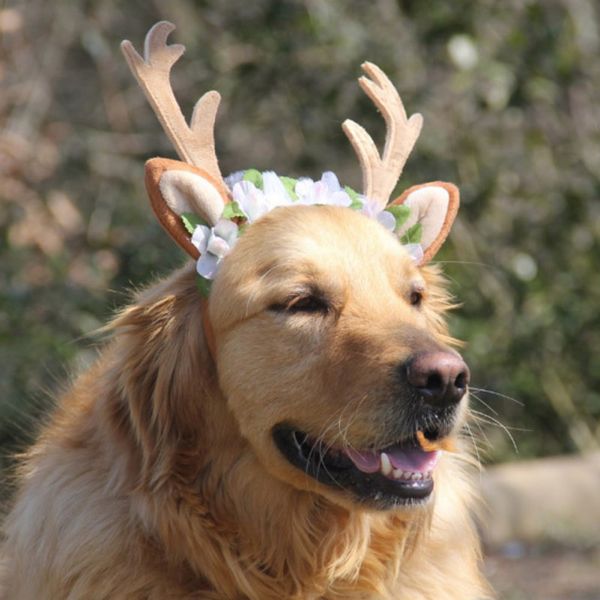 

new christmas deer design printed flower dog hats for dog cats caps headband cat accessories pet supplies 3 size
