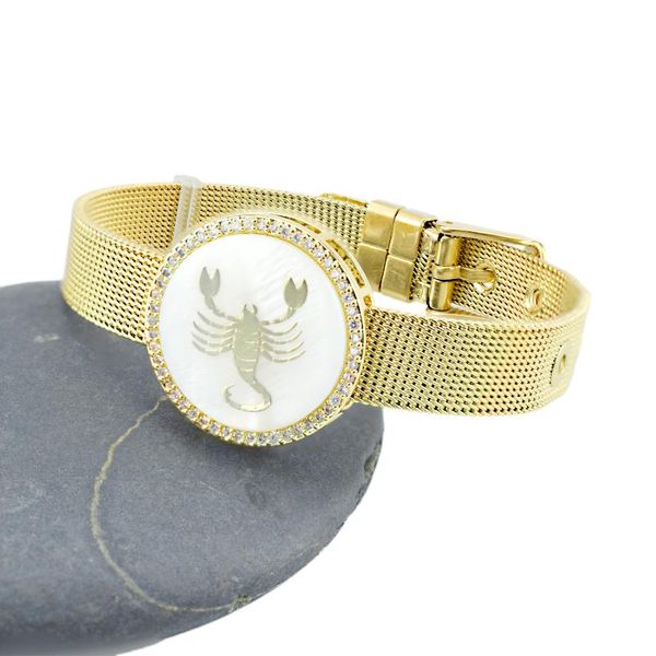 

punk style scorpion shell zircon charm bracelet for woman man mesh stainless steel strap bangle jewelry gift, Golden;silver