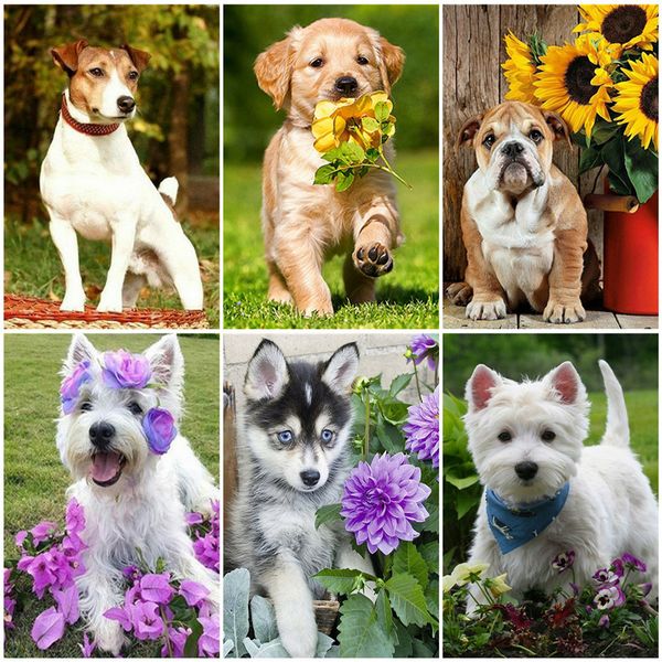 

wall art unframe diy coloring by numbers animal acrylic paint handpainted gift paint by numbers canvas dog home decoration