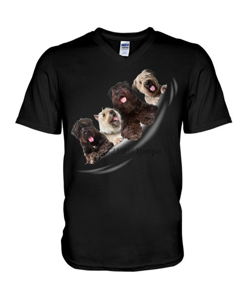 

men t shirt bouvier des flandres - torn 4(14) women tshirts