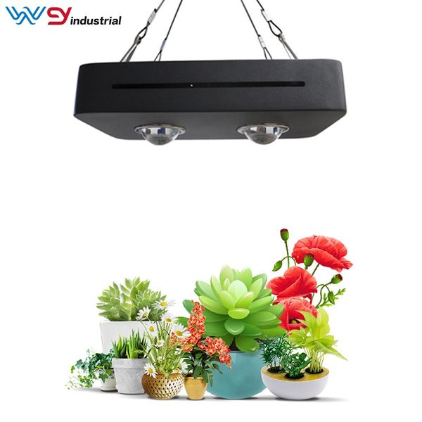 

2020 selling led grow light cob 300w full spectrum led grow light with competitive price