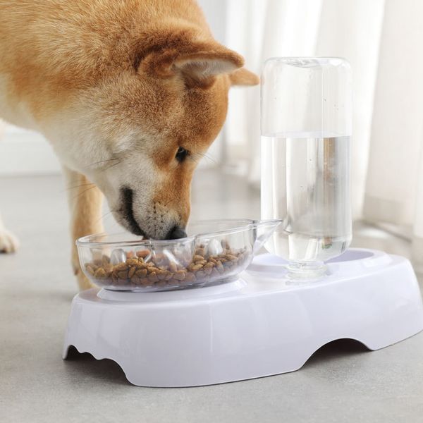 

cat bowl double bowl pet cat dog food basin transparent plastic feeding drinking bowl with water bottle cat ears