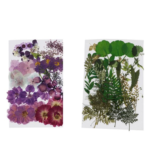 

77x real pressed dried flowers floral for diy resin jewelry arts crafts