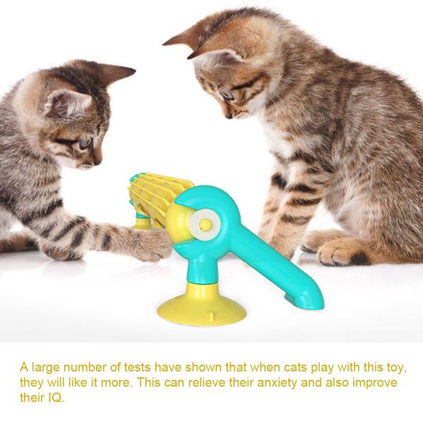 

amusement cat toy climbing pet track ball games suction cup interactive playing