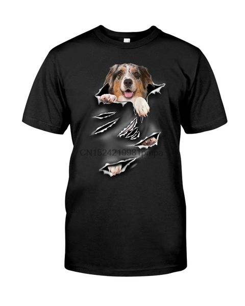 

men t shirt australian shepherd - torn 3(1) women tshirts