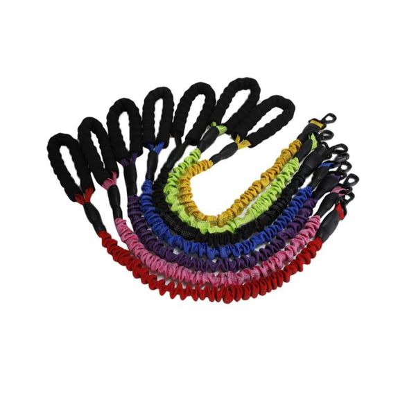 

1pc elastic pet dog leash durable nylon dog harness color pet walking training leash cats dogs leashes strap belt rope