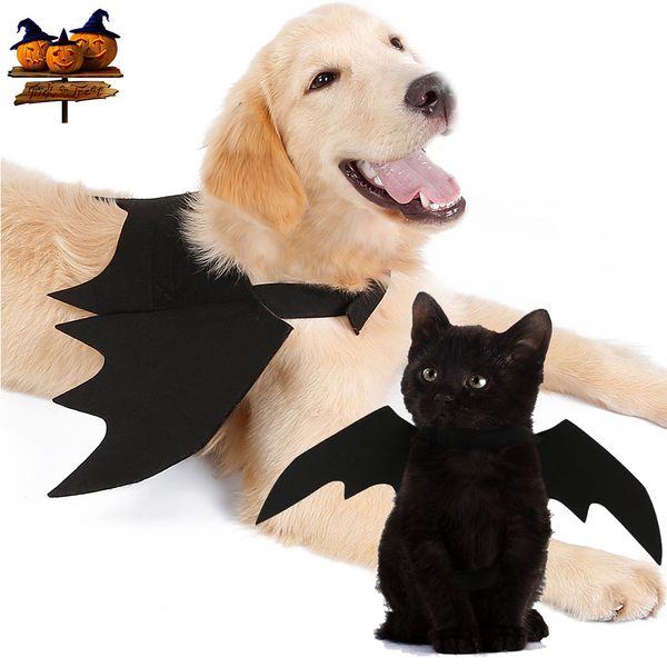 

сейс собака хэллоуин крылья летучей мыши pet костюм cat одежда собаки крылья костюм аксессуары партии cosplay для собак, черный
