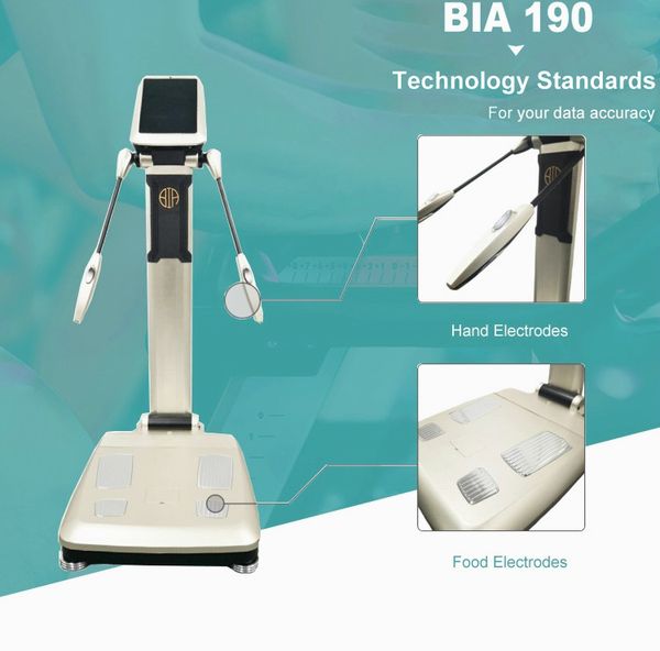 

2020 the most popular 3d body composition analyzer biochemistry health bia fat analyzer machine fast ing