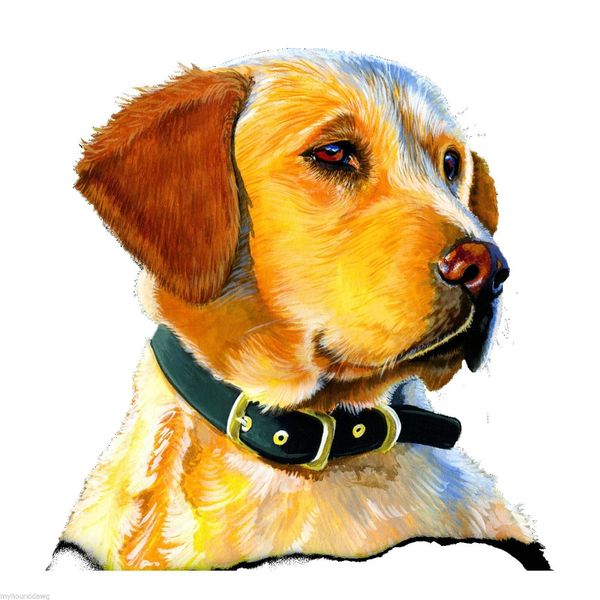 

2019 горячие продажа супер мода лето вскользь человек футболка хорошее качество golden retriever t-shirt men