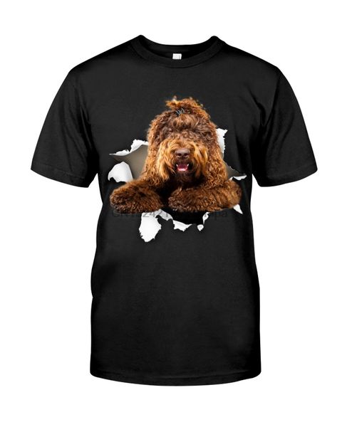 

men t shirt barbet - torn(1) women tshirts