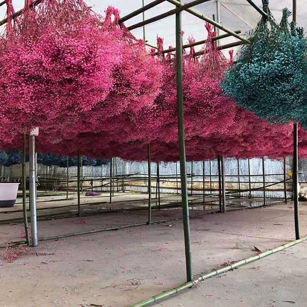 

diy gypsophila flowers home decorative bouquet wedding party decor floral p props natural dried flower valentine's day gift