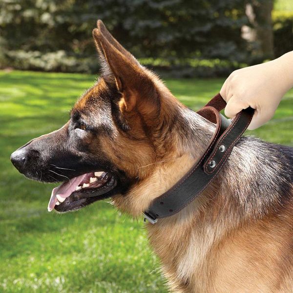 

2020 эластичный кожа pet ошейник регулируемый воротник шейный аксессуар товары для домашних питомцев