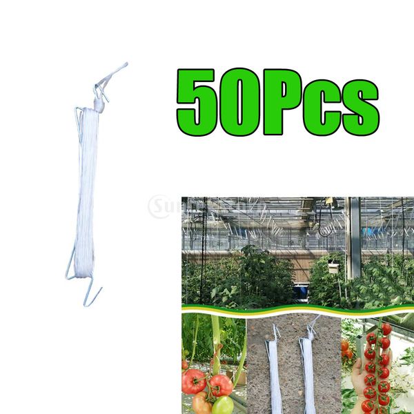 

50x 10m garden tomato hook vegetable clamps for garden farms planting tomato