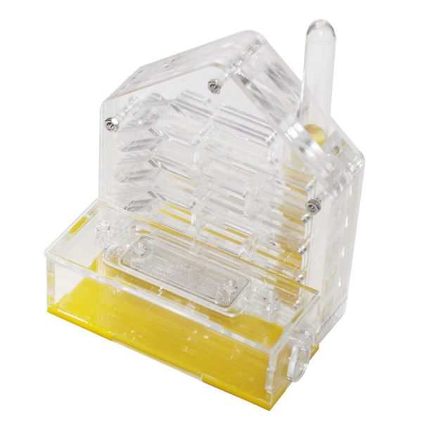 

transparent acrylic small pet with feeding area diy home ant nest breed farm