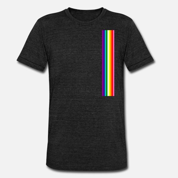 

gay pride lgbt subtle rainbow stripe flag 2018 t shirt men character tee shirt round neck kawaii gift basic spring pictures shirt