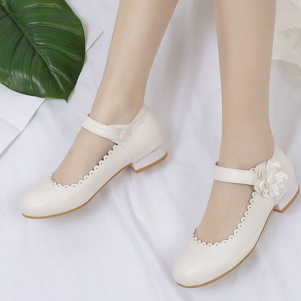 

low heel mary janes shoes women pumps hook&loop women block heel pumps ladies casual sping/autumn size 32-46, Black