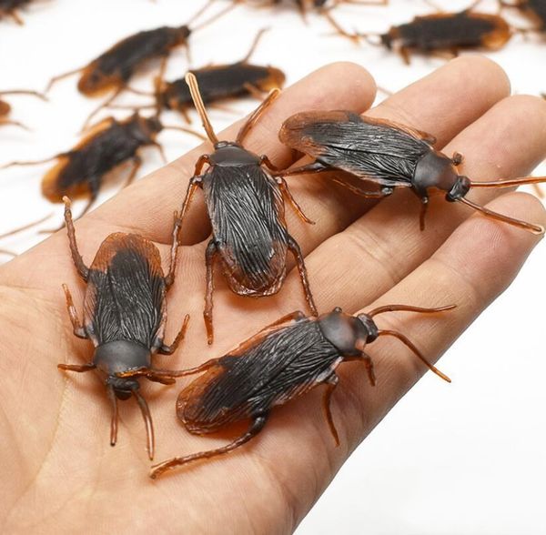 

simulation kids cockroach toys new funny party mixed playful mini shipping home gifts plastic scary mjhome bytsy