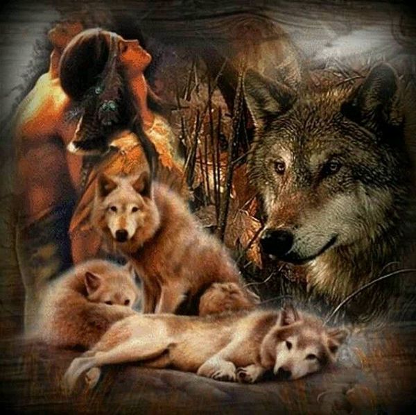 

diamond painting "indian wolf" cross stitch custom p diamond embroidery square round drill home decor
