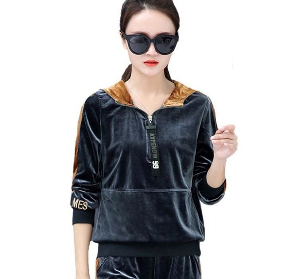 

velour tracksuit for women winter velvet sweatsuit long-sleeved fleece clothes sets sportswear for female two-piece outfit, Gray