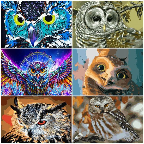 

azqsd coloring by numbers animal diy unframe handpainted gift oil painting by numbers owl acrylic paint home decoration