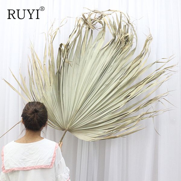 

decorative flowers & wreaths 10pcs natural plants dried flower palm fan leaf wedding styling home decor reception party wall hanging decorat