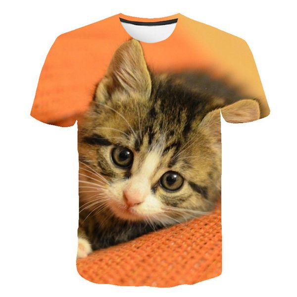

summer 3d print animal newst kitten print cat plain 3d design male 3d print shirts aesthetic aesthetic anime men clothing