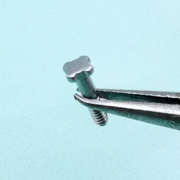 

12 pcs 4 star four star silver brushed stainless steel screw for rm rm 50-03/01 rm-11 rm011 watchband strap