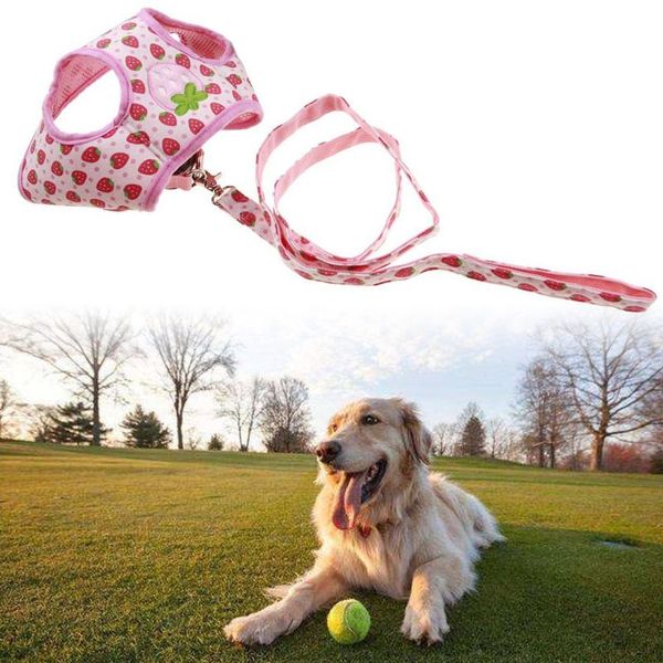 

cute strawberry print small pet adjustable harness with leash escape proof breathable mesh cat dog walking harness leads for kit