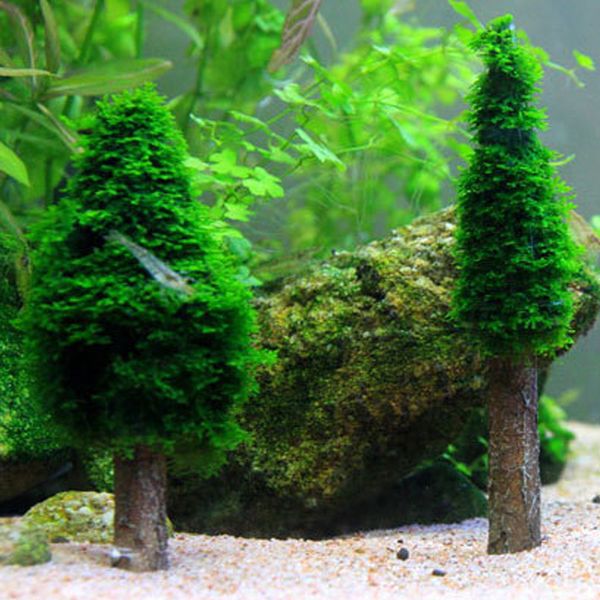 

artificial plant fish tank diy cutting simulation moss tree aquarium decoration