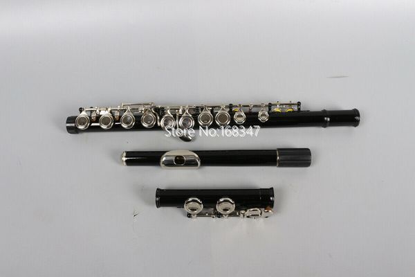 

c tone e key flute 16 hole advance model close hole nickel key with case ing