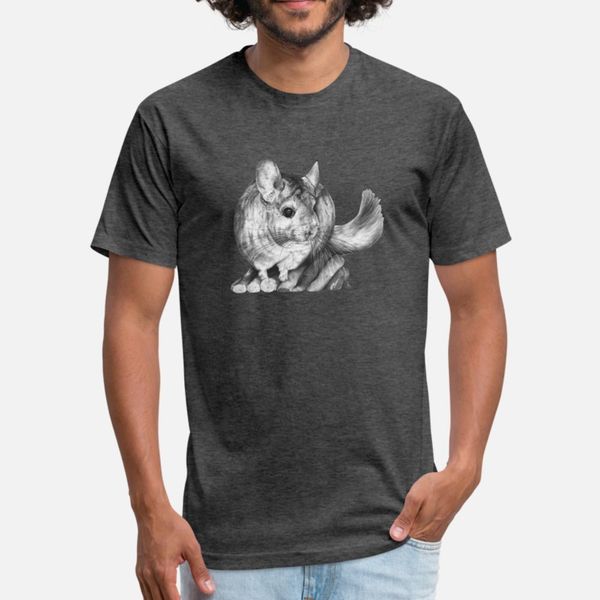 

chinchilla tee hoodie t shirt men fitness tee shirt round collar unique fitness casual spring autumn normal shirt
