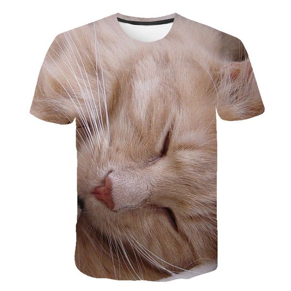 

summer 3d print animal newst kitten print cat plain 3d design male 3d print shirts comics hentai graphic men clothing