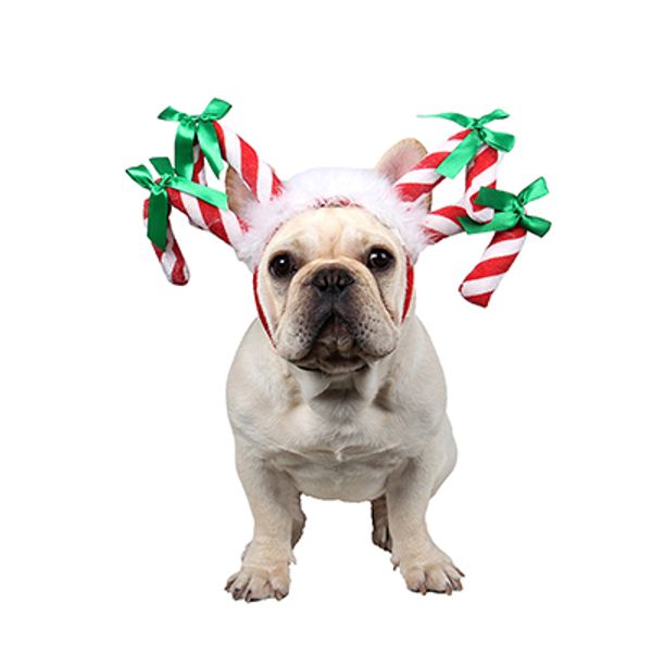 

pet accessories dog christmas candy bar hat