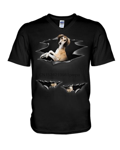 

men t shirt saluki - torn(34) women tshirts