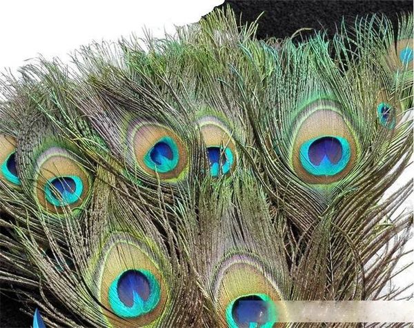 

diy handmade accessories real natural peacock feather beautiful feathers about 25 to 30 cm fit home furnishing wedding decorations