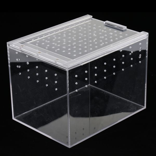 

reptile amphibians small animal keeper spider clear acrylic tank vivarium terrarium