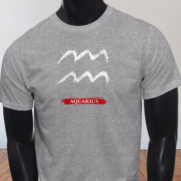 

2019 new design short-sleeve fashion streetwear zodiac horoscope air aquarius white astrological sign mens gray tee shirts