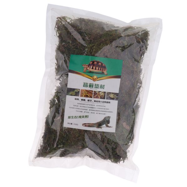 

рептилии террариум субстрат natural green moss для зимнего сада