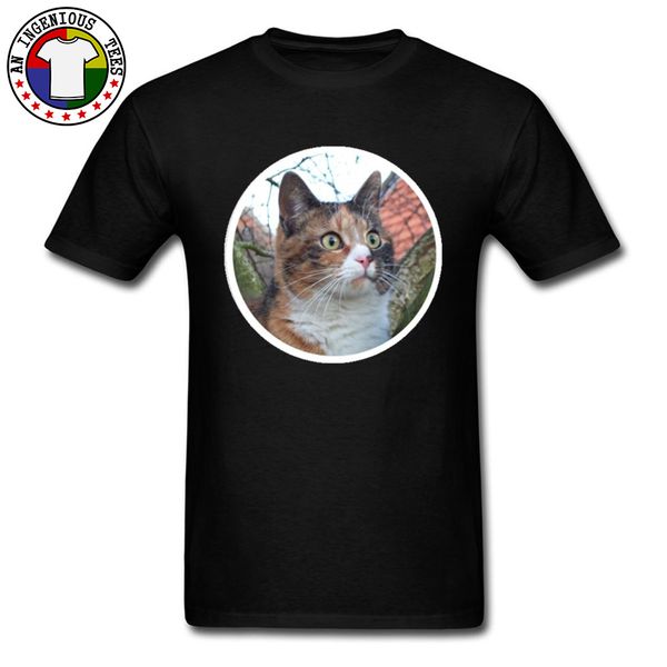 

новый дизайн с коротким рукавом обычная футболка красивая calico cat 100% хлопок crewneck мужчины топы рубашки комиксы фуфайки summer fall