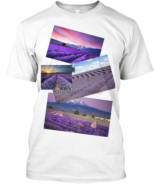 

men t shirt lavender field women tshirt