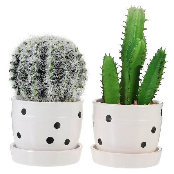 

2pcs nordic style bonsai crafted simulation fake cactus bonsai cactus potted plant for homes table community resort coffee