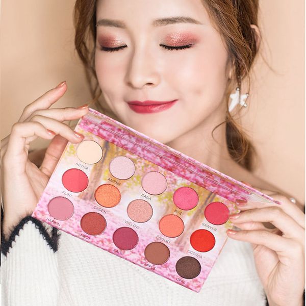 

15 colors eyeshadow pearlescent matte not blooming girl eyeshadow mpwell