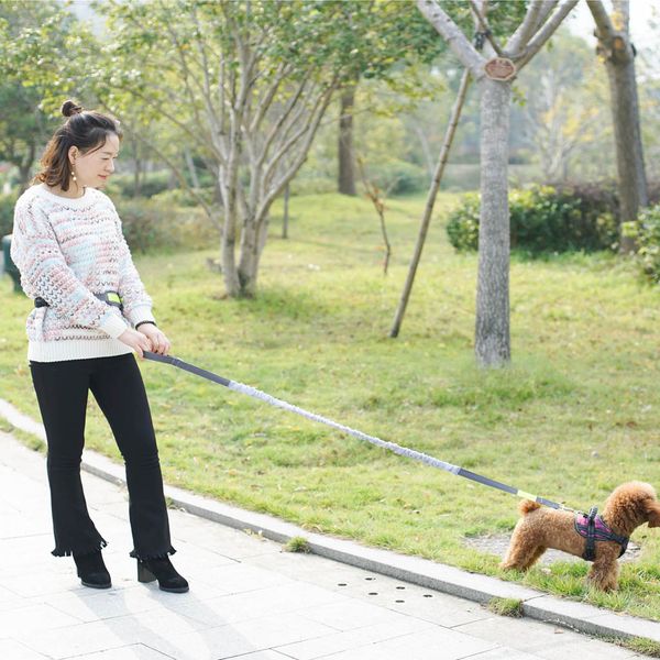 

hands dog walking ajustable leash lead waist bag running jogging gray