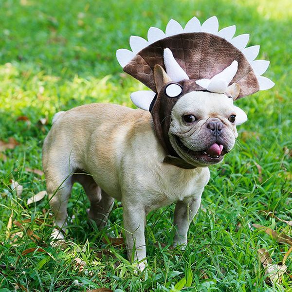 

halloween tricera dinosaur party costume outfits for bulldog pugs winter warm dog cat pet hat cap